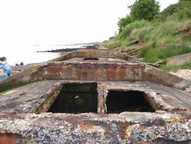 A beetle from the Mullberry harbour