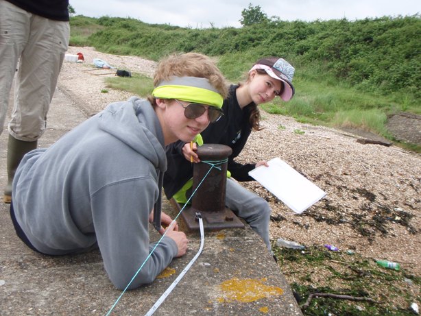 David and Katies' baseline